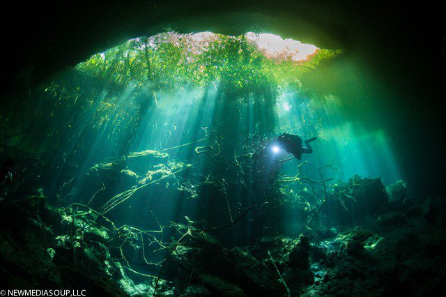 Underwater Images - The Cenotes Of The Yucatan Peninsula - Newmediasoup ...