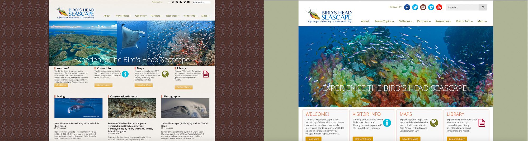 Newmediasoup-Birds-Head-Seascape-Home-Page-Before-After