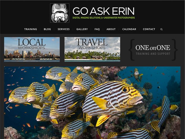 Newmediasoup-Go-Ask-Erin-website-home-page2-4x3