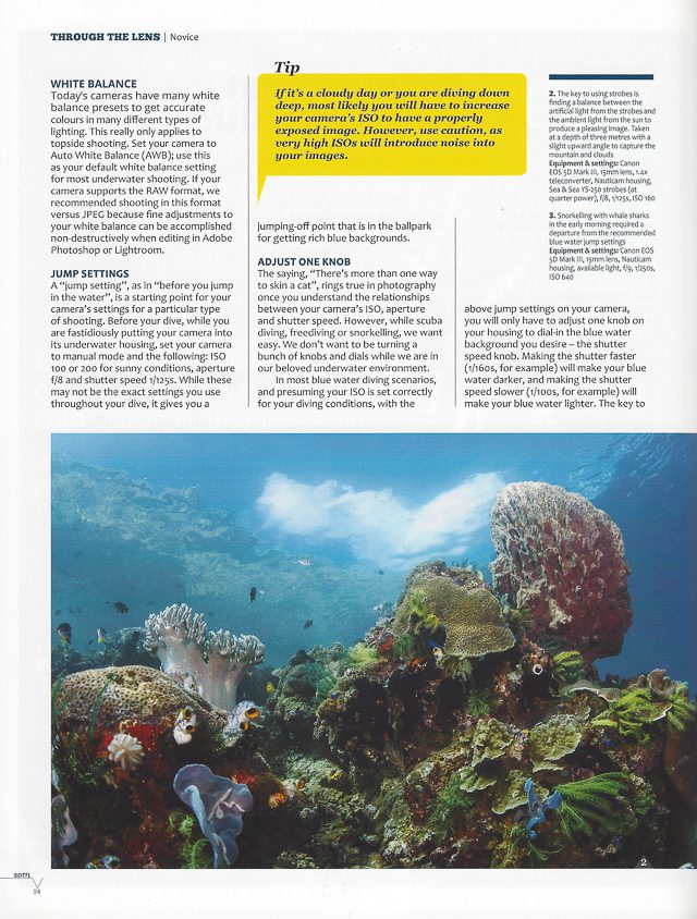 Newmediasoup-Scuba-Diver-Ocean-Planet-article-website-2
