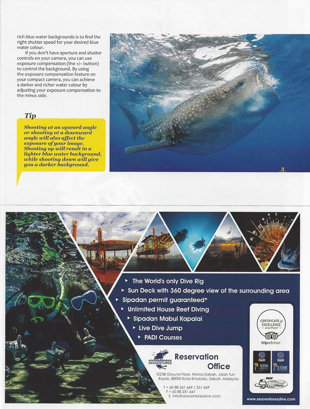 Newmediasoup-Scuba-Diver-Ocean-Planet-article-website-3