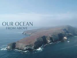 Our Ocean From Above - Aerial Stock Footage